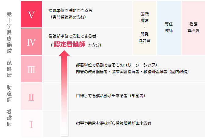 赤十字キャリア開発ラダーのイメージ図