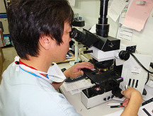病理組織・細胞診標本を観察している写真